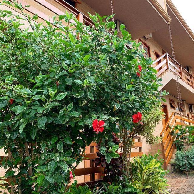 Hotel Pousada Santa Rita Ribeirão Preto Extérieur photo